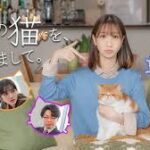 元カレの猫を、預かりまして。