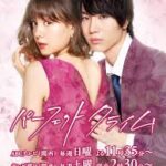 パーフェクトクライム